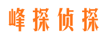 兴仁小三调查